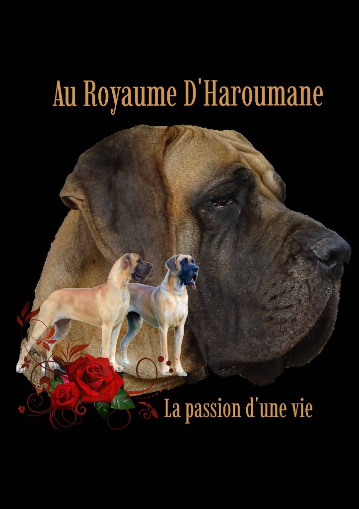 Nouveau logo